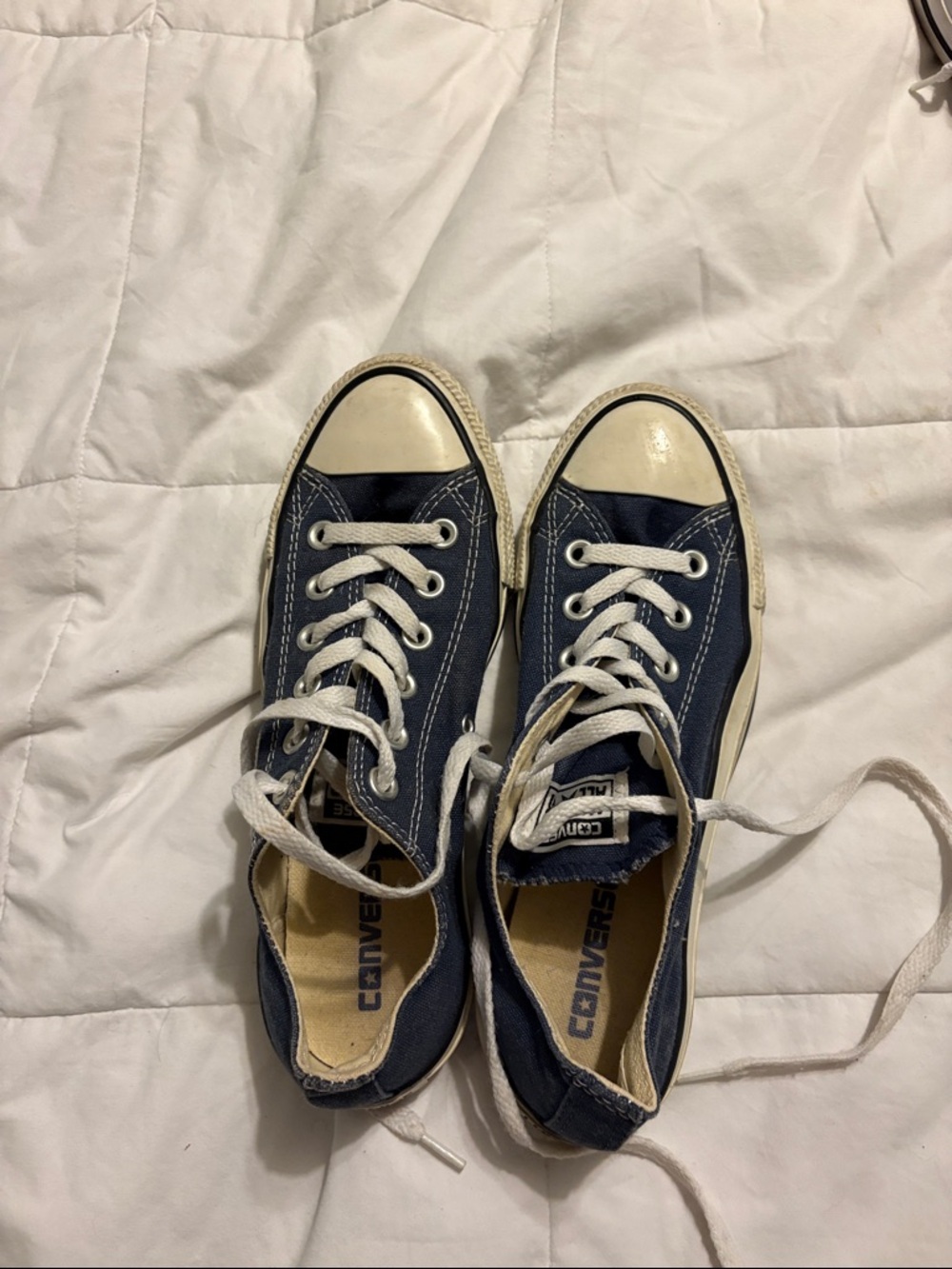 Converse Navy and White Low-Top Canvas Sneakers